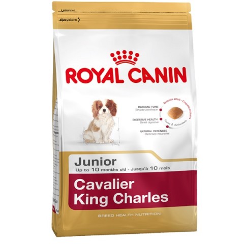 Royal Canin Puppy Cavalier King Charles Yavru Köpek Maması 1,5 Kg